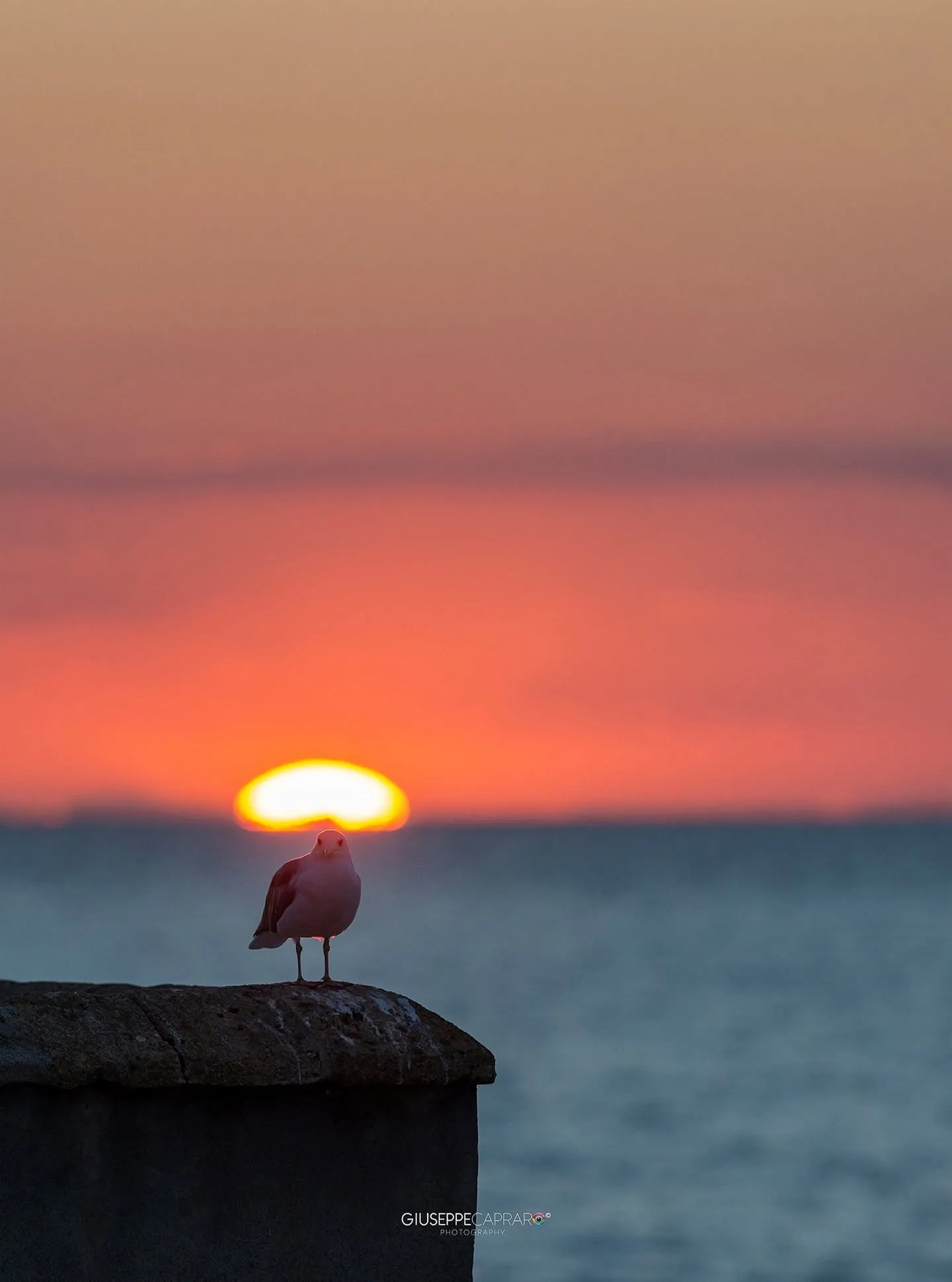 Giocare con il tramonto.