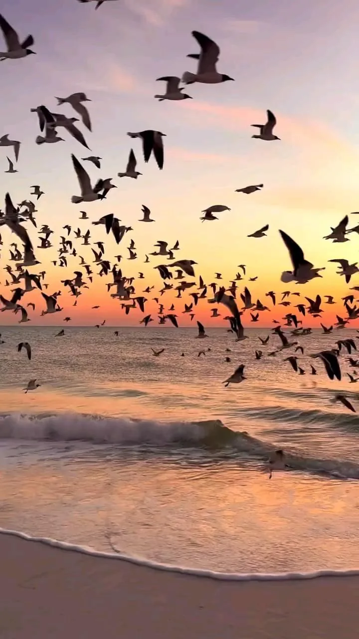 Gallipoli tra mare, tramonto e atmosfera mediterranea