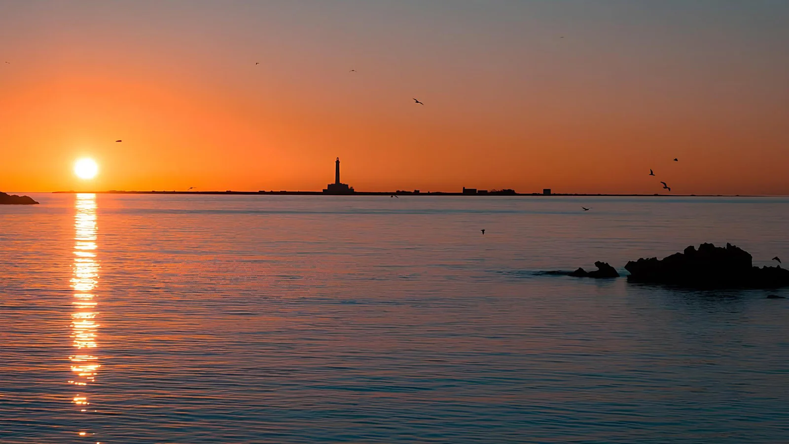 Gallipoli intorno a te