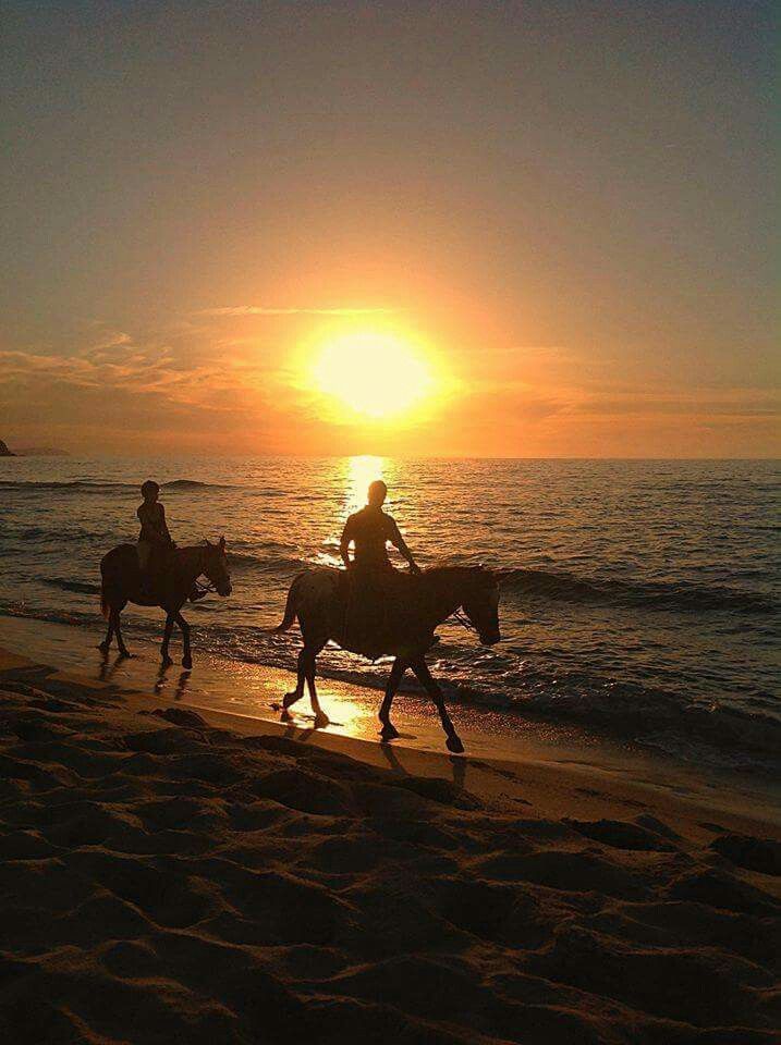 Passeggiata a cavallo vicino Gallipoli