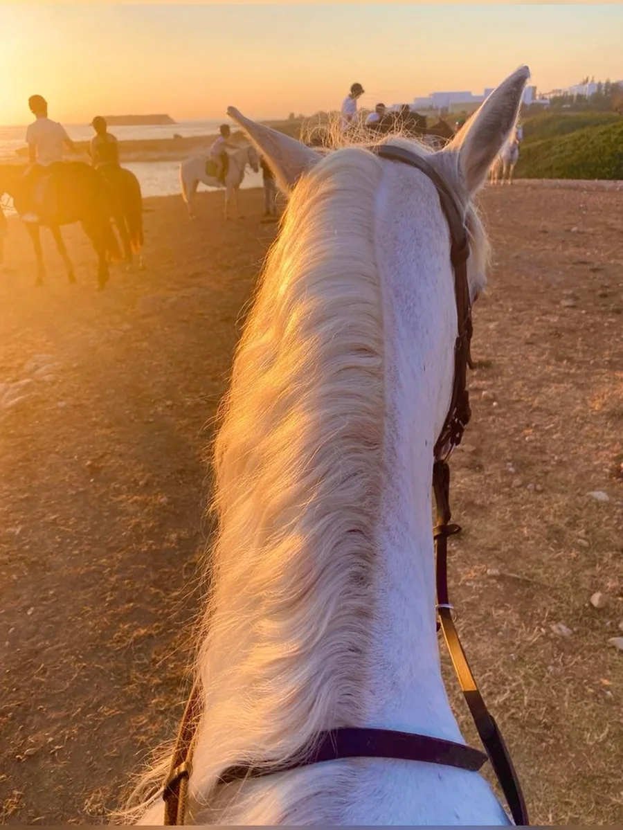 Escursione a cavallo vicino Gallipoli