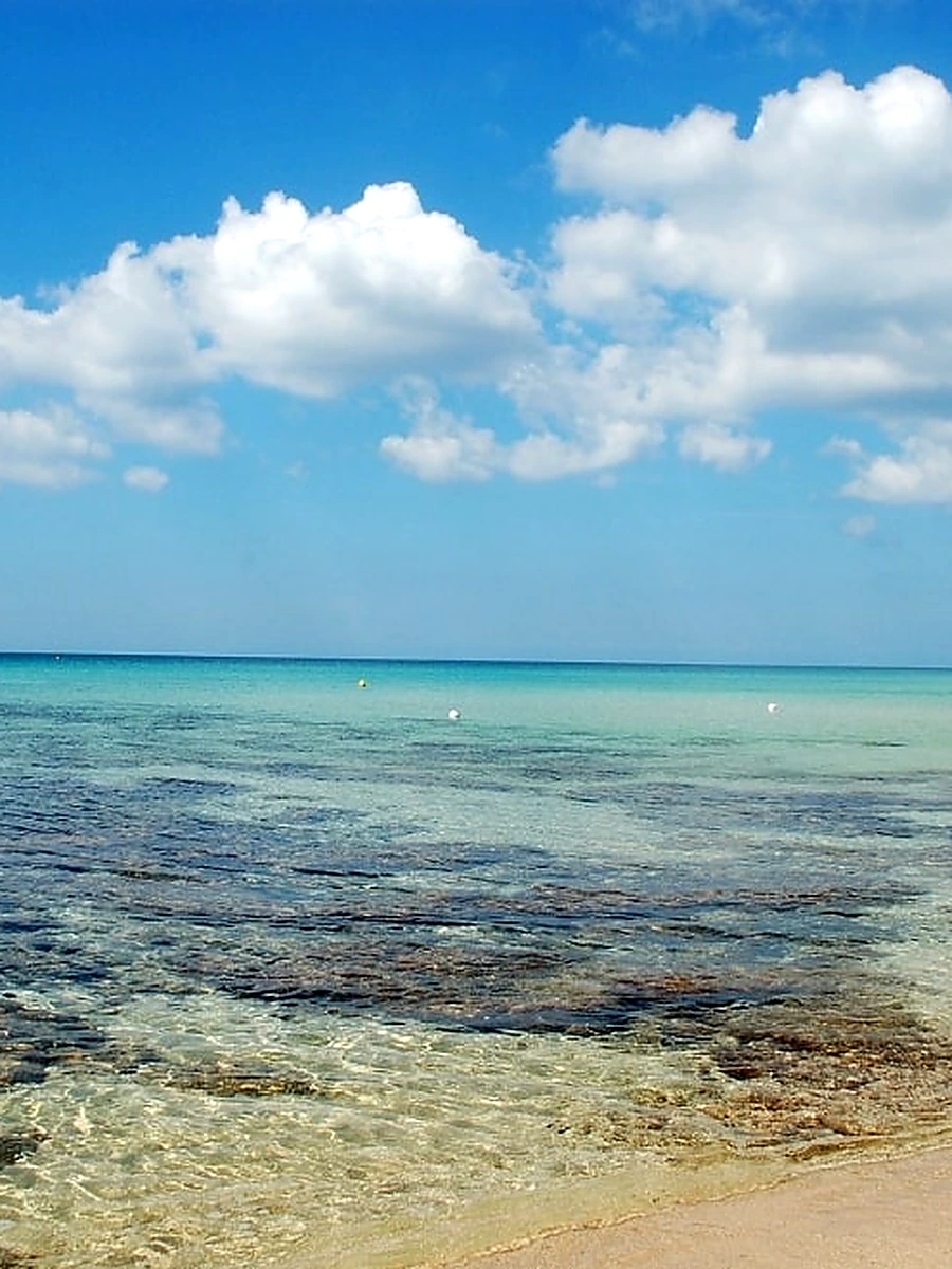 Acqua trasparente e riva sabbiosa di Baia Verde